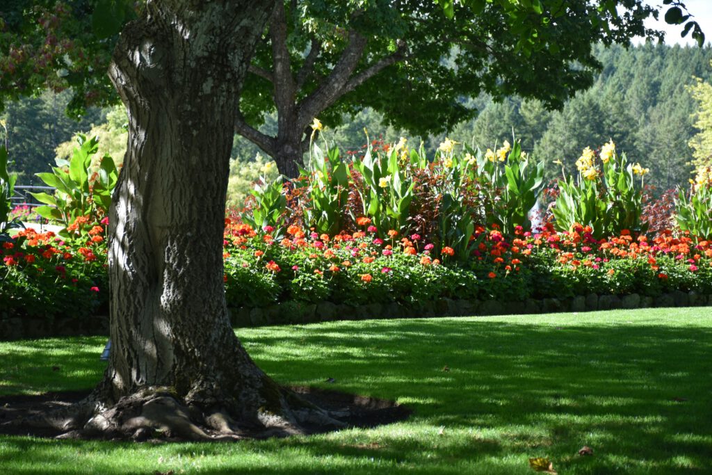 Garten- und Landschaftspflege